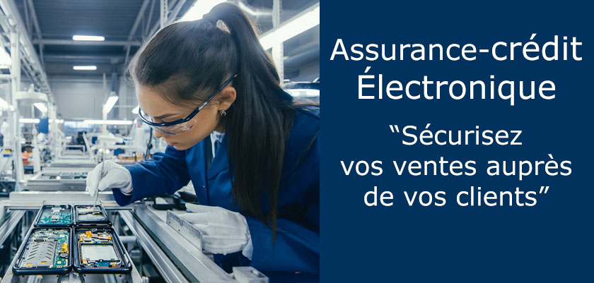 Assurance crédit électronique