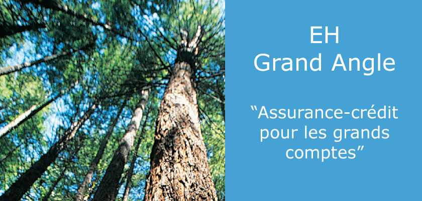 Grand Angle avec Euler Hermes - Assurance crédit pour les grands comptes