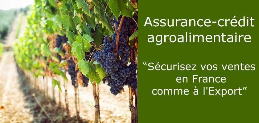 Assurance crédit pour le secteur agroalimentaire