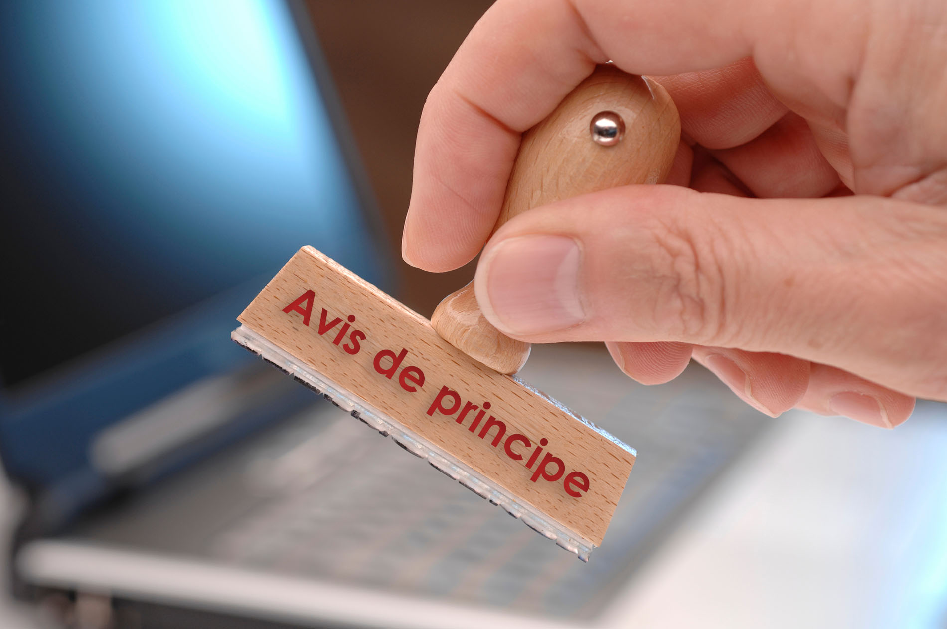 Avis de principe