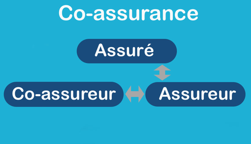 Définition Coassurance